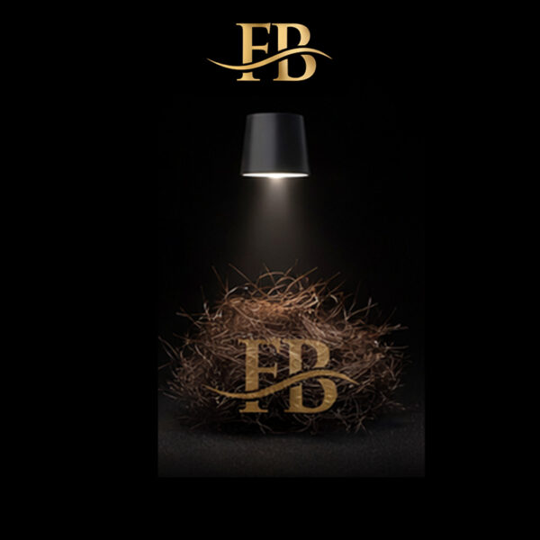 Fibra Biocompatible Color Castaño Etapa 1