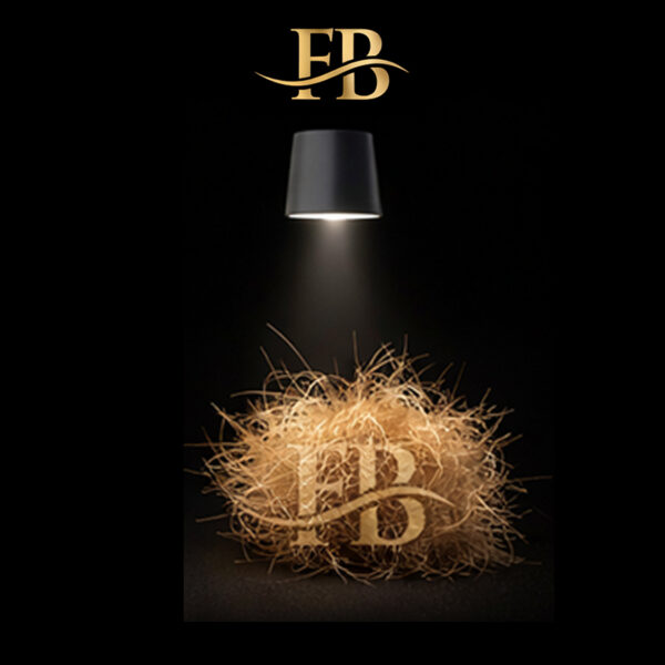 Fibra Biocompatible Color Rubio Etapa 2